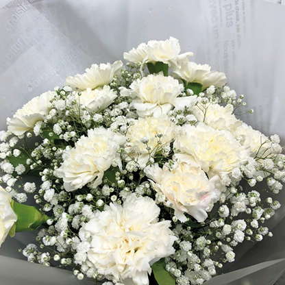 ช่อดอกไม้วาเลนไทน์ - ดอกคาร์เนชั่นสีขาวบริสุทธิ์