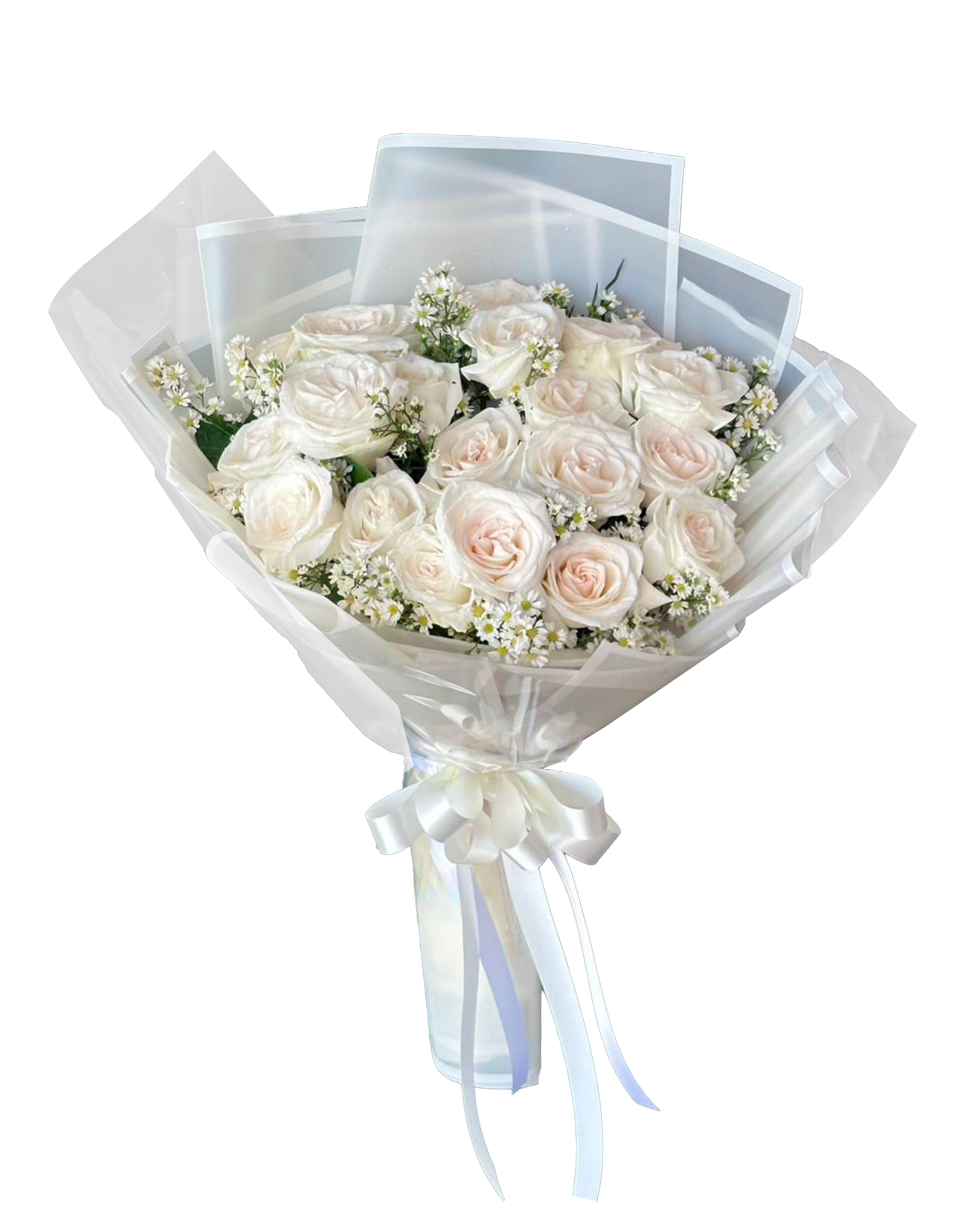 A063_PNG