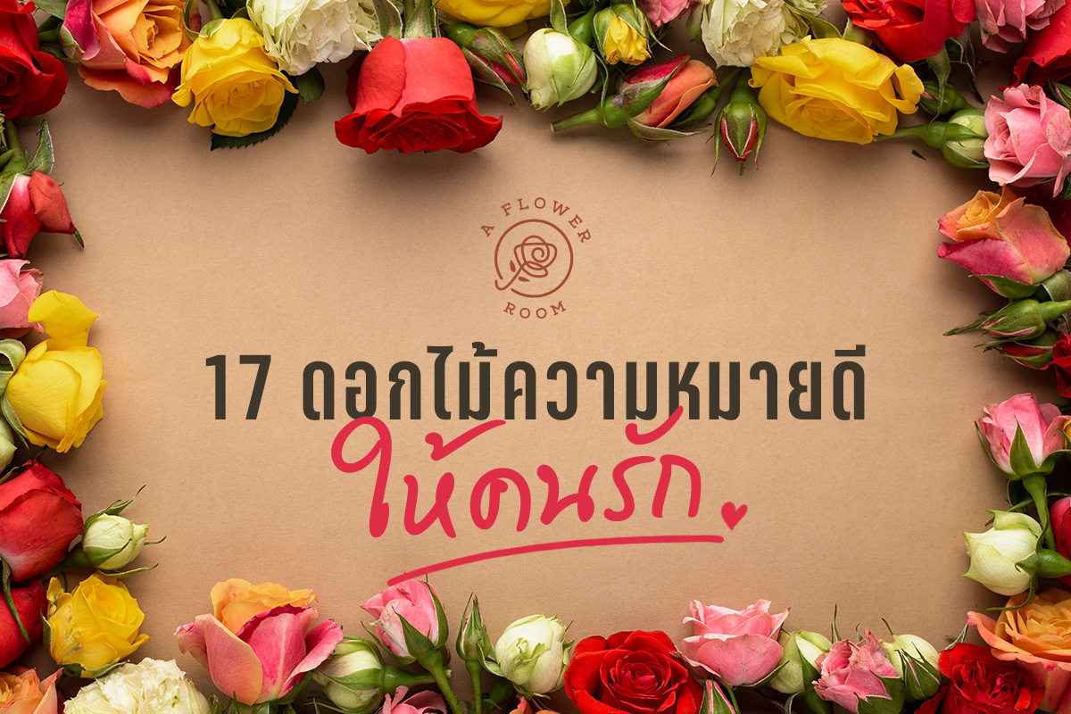 แนะนำ 17 ดอกไม้ความหมายดีๆ ให้คนรัก