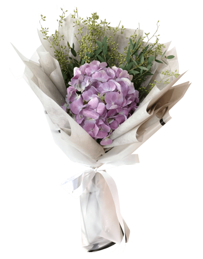 A061 ช่อดอกไฮเดรนเยียสีม่วง ดอกเดี่ยวช่อใหญ่ จัดกับยูคาลิปตัสใบเรียวและเมล็ดยูคาลิปตัส